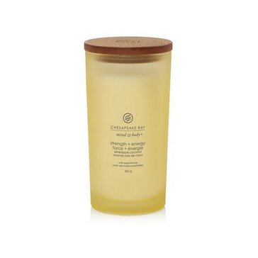 CHESAPEAKE BAY CANDLE STRENGTH & ENERGY VELKÁ